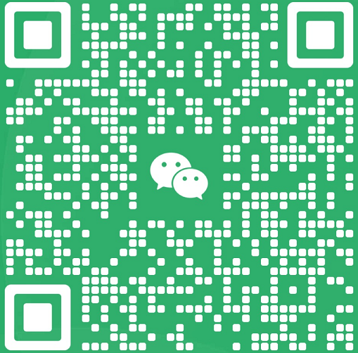 扫一扫加微信-跨境独立站高启强