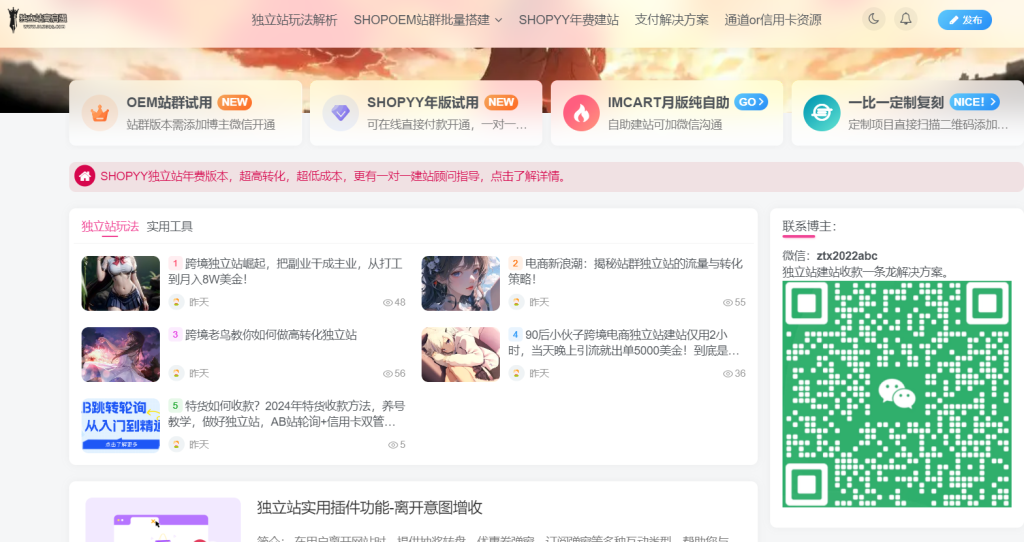 图片[1]-独立站普货特货核心玩法