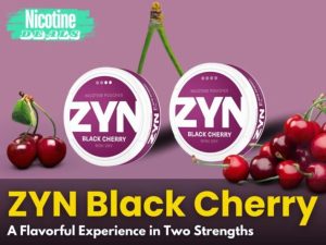 深圳跨境电商老板，靠一款烟草类产品，月入5万美金，规模不大，但是稳定。-跨境独立站高启强